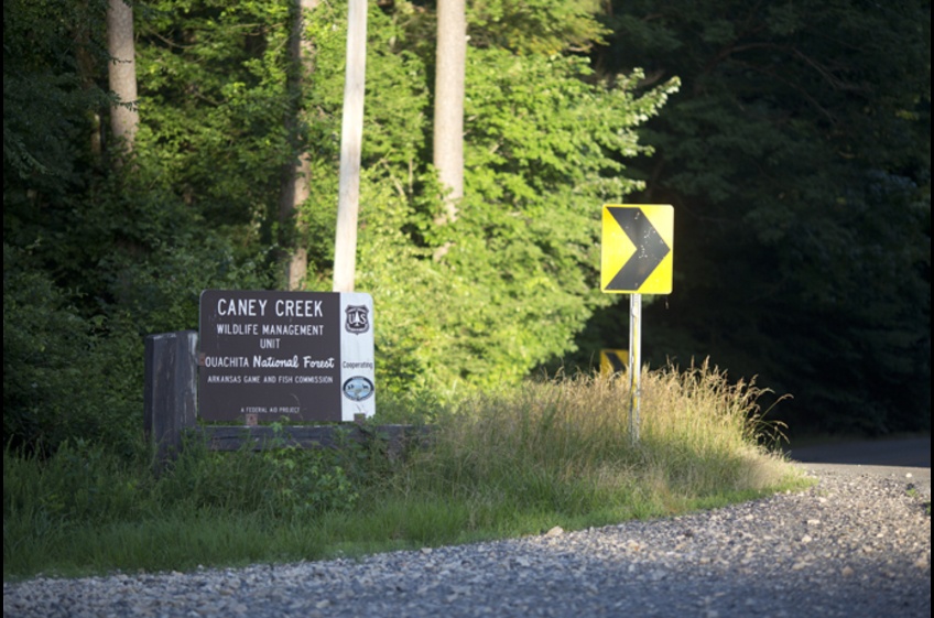 222-CaneyCreekWolfPenTrailcabin